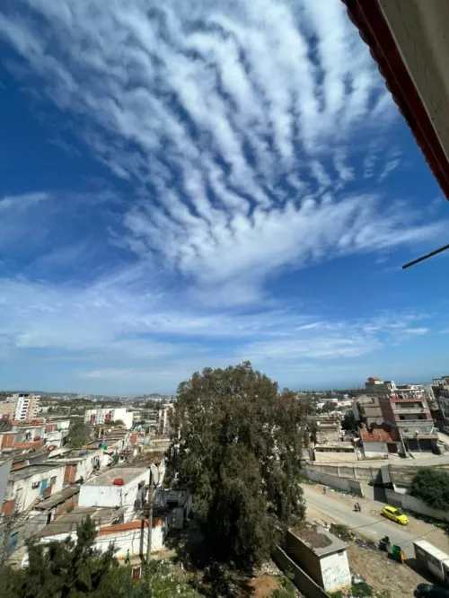 Vente Appartement Duplex F6 Annaba El bouni