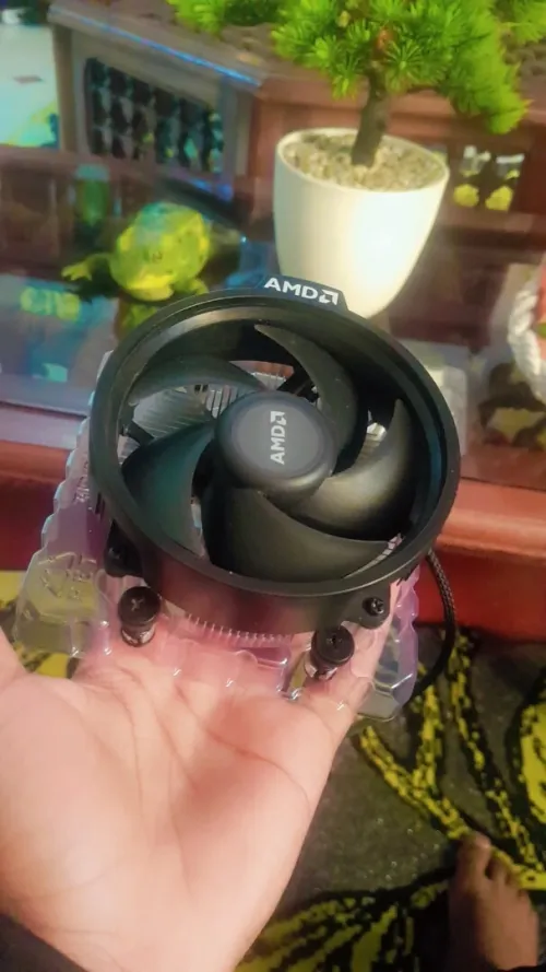 Rayzen 5 4600g