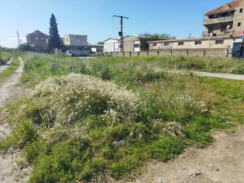 Vente Terrain Alger Rouiba