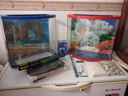 Aquarium 40cm avec couvercle et poster