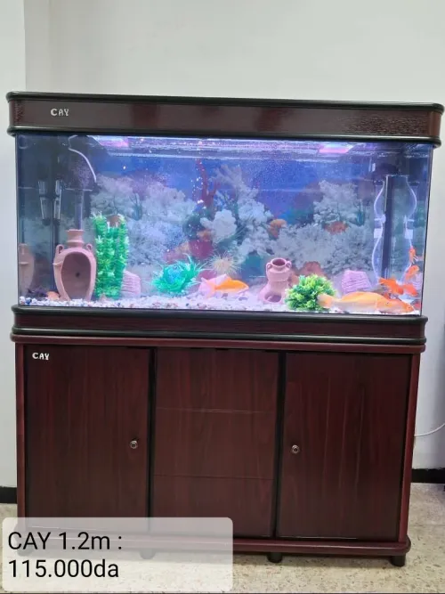 Aquarium d'importation 1,2 mètre