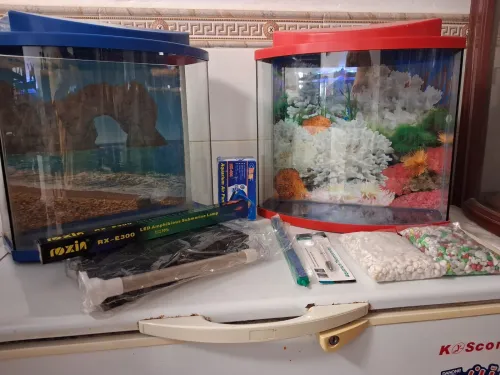 Aquarium 40cm avec couvercle et poster