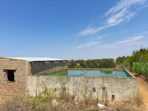 Vente Terrain Agricole Mostaganem Ain boudinar