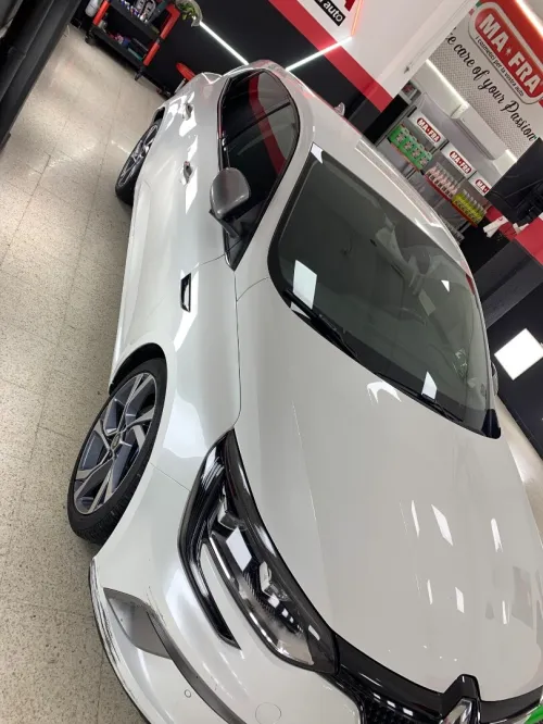 Renault Megane 3 RS 2019 Megane 3 RS