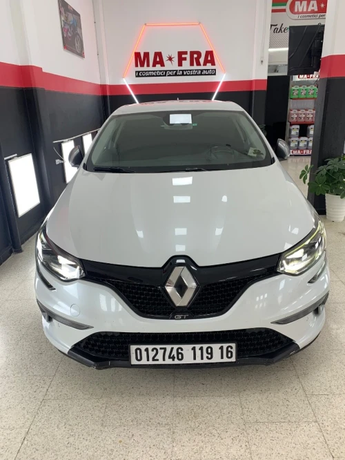 Renault Megane 3 RS 2019 Megane 3 RS