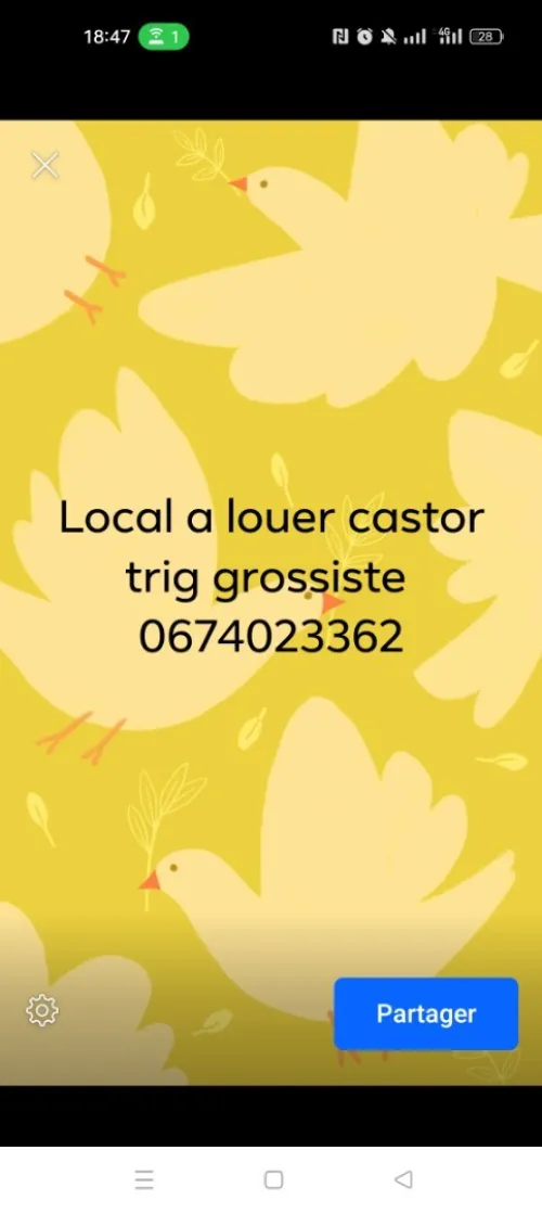 Location Local Oran Oran
