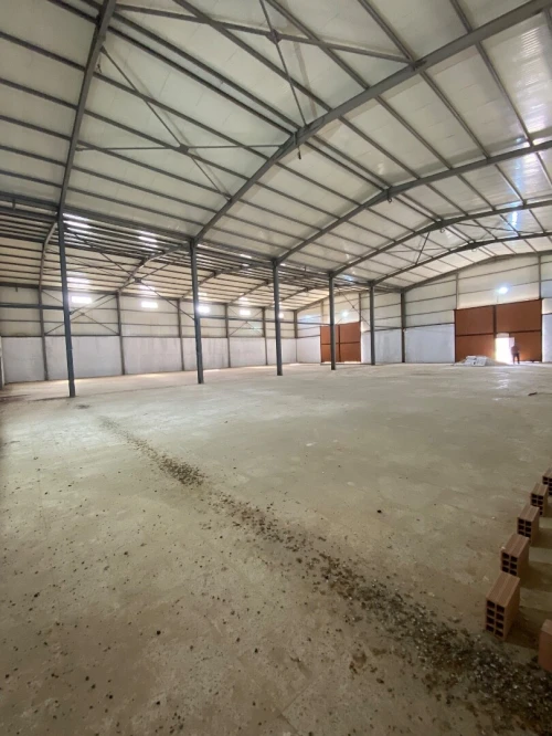 Location Hangar Blida Larbaa