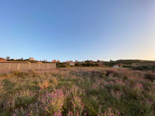Vente Terrain Boumerdès Zemmouri
