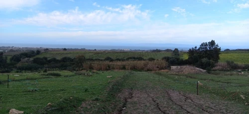 Vente Terrain Boumerdès Zemmouri