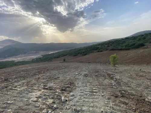Vente Terrain Boumerdès Keddara