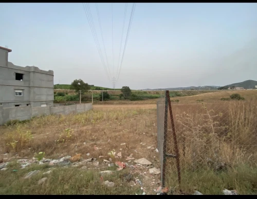 Vente Terrain Boumerdès Tidjelabine
