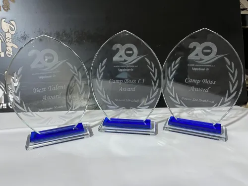 Trophée personalisé  / Cristal / en Bois  Gravure et Impression