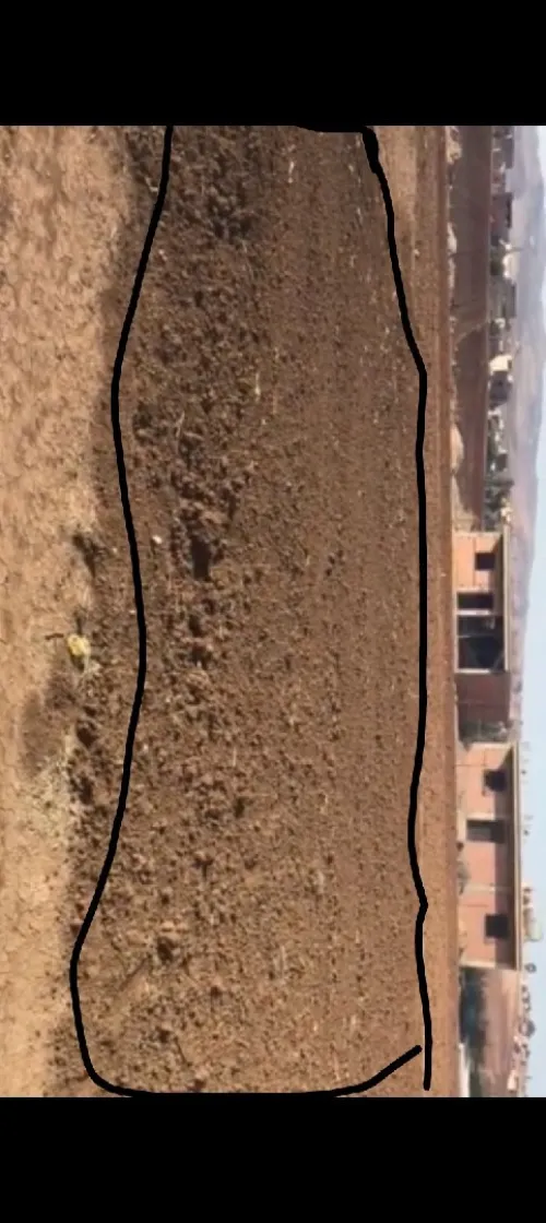 Vente Terrain Chlef Harchoun
