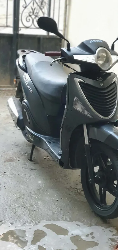 Écharme Moto radiateur 2014
