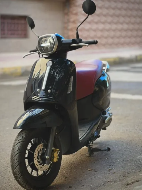 Benelli Panarea 2023