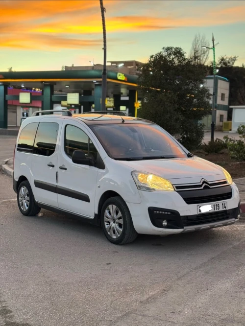 Citroen Berlingo Multispace 2019 Berlingo Multispace