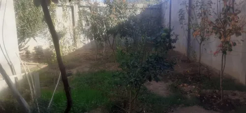 Vente Carcasse Blida Bouarfa