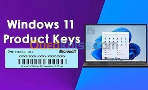 Licence Numérique Microsoft Windows 11 Pro Livraison Rapide