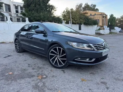 Volkswagen Passat CC 2013 Passat CC