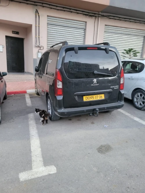 Peugeot Partner 2017 Tepee Allure 