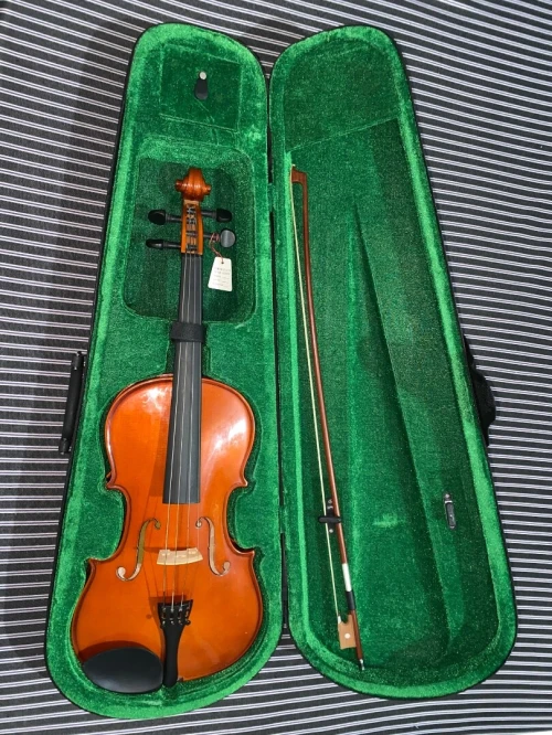 Violin