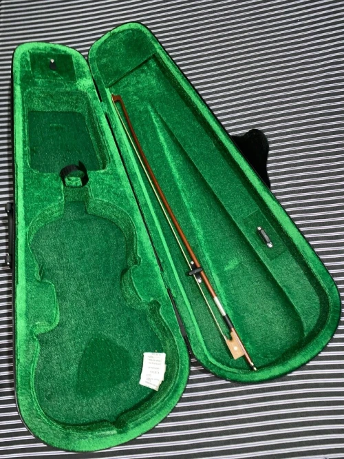Violin