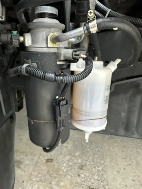 Kia k2500 Frigo 2019