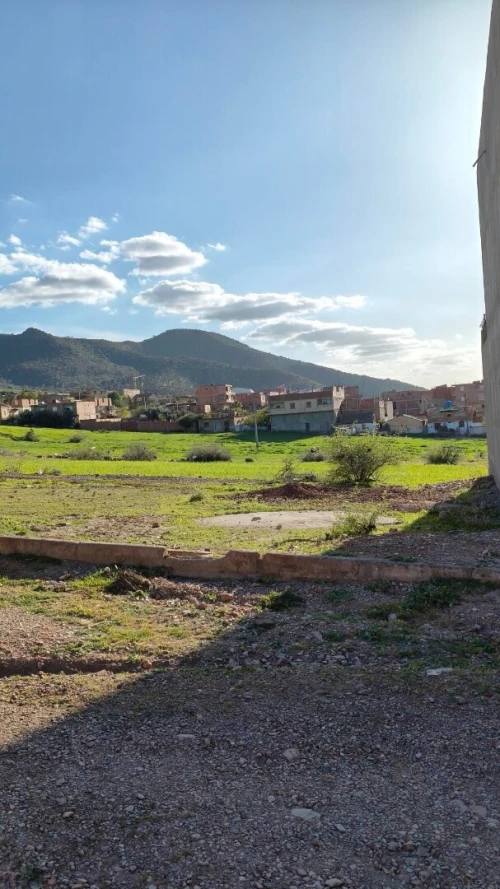 Vente Terrain Aïn Defla Ain defla