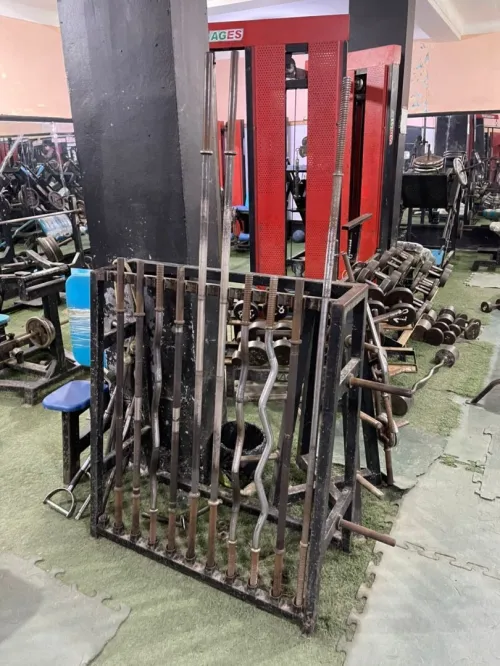 Salle de musculation