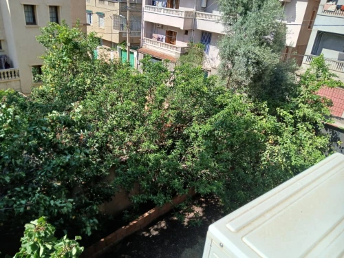 Vente Villa Alger Birkhadem