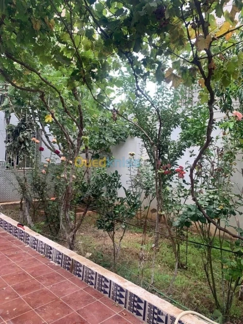 Location Appartement Béjaïa Beni ksila