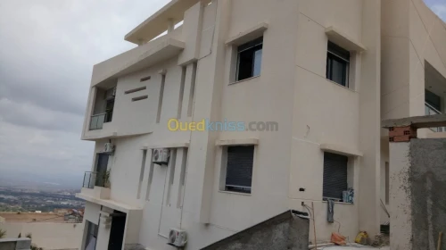 Painture du facade en monocouche 