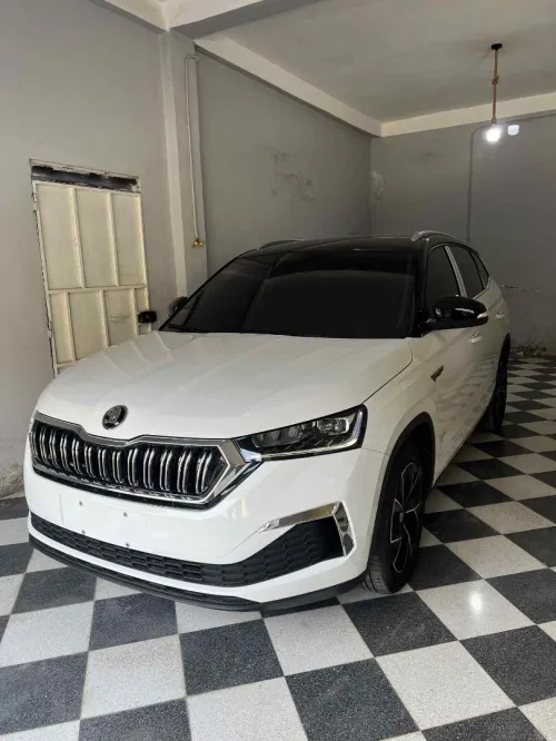 Skoda Karoq 2025 GT