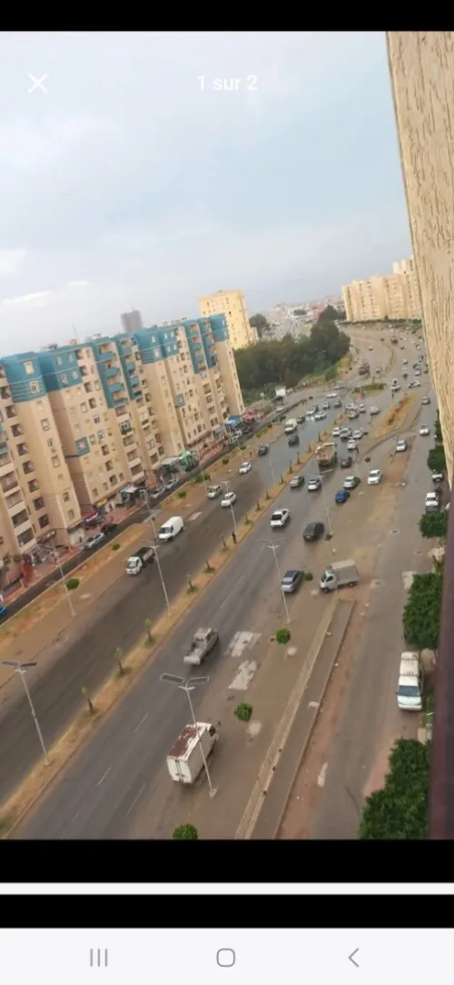 Location Local Alger Mahelma