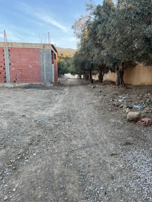 Vente Terrain Blida Bouarfa