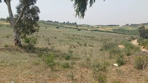 Vente Terrain Agricole Boumerdes Keddara