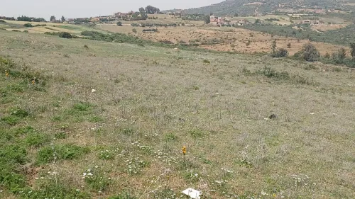 Vente Terrain Agricole Boumerdes Keddara