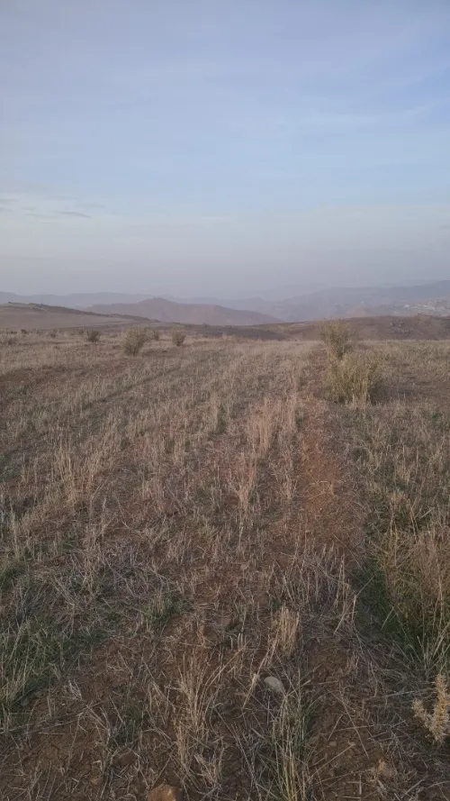 Vente Terrain Bordj Bou Arreridj Medjana