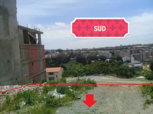Vente Terrain Alger Bouzareah