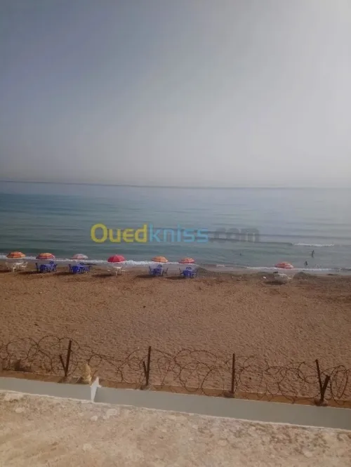 Location vacances Appartement Studio F2 F3 Tipaza Tipaza