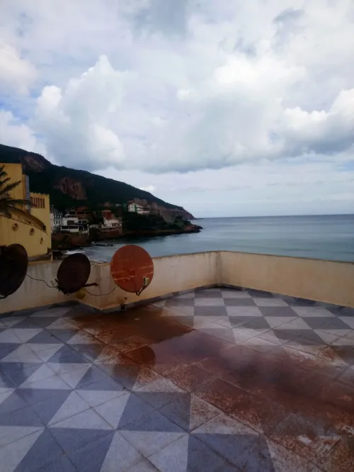 Vente Immeuble Tipaza Tipaza