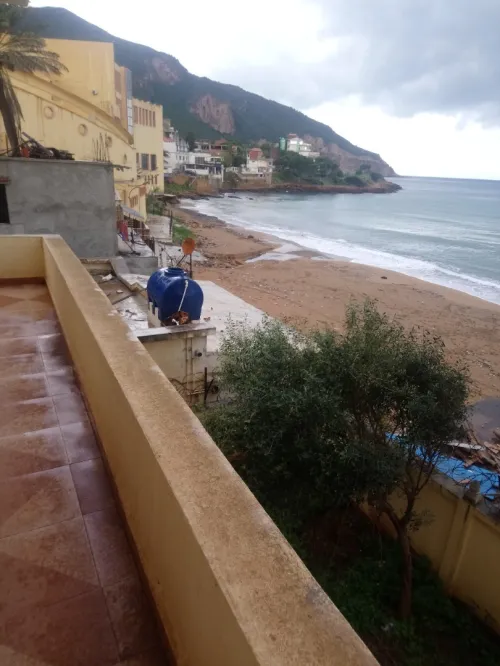 Vente Immeuble Tipaza Tipaza