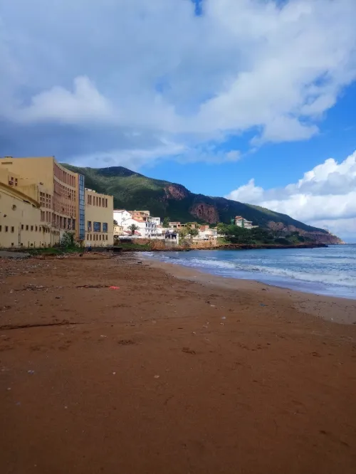 Vente Immeuble Tipaza Tipaza