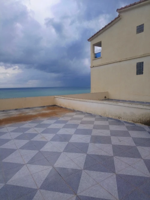 Vente Immeuble Tipaza Tipaza