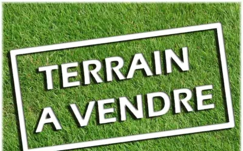 Vente Terrain Blida Ain romana