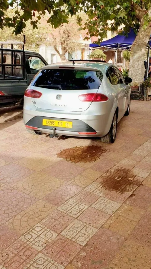 Seat Leon 2011 Leon