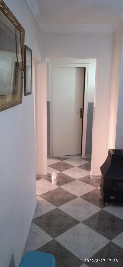 Vente Appartement F4 Alger Bab ezzouar
