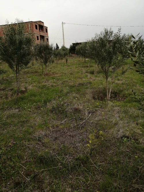 Vente Terrain Mila Grarem gouga
