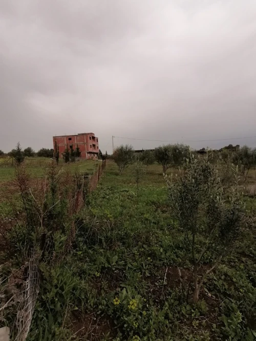Vente Terrain Mila Grarem gouga