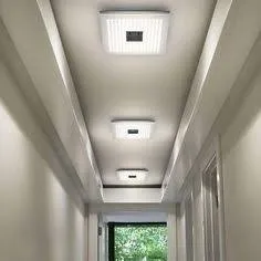 Peinture decor placoplatre